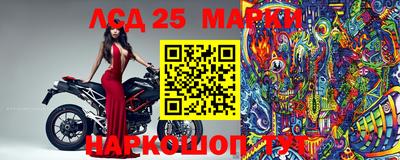 ешки Ставрополь